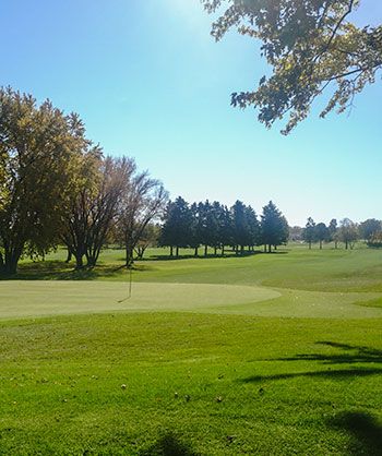 25-courses-elmwood.jpg